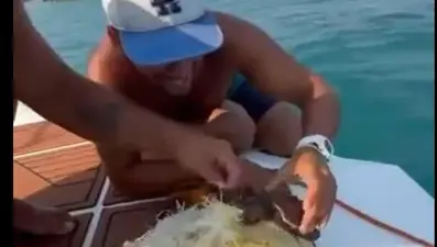 Alanya'da çuvala dolanan caretta caretta yavrusu kurtarıldı