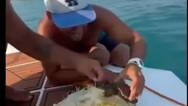 Alanya'da çuvala dolanan caretta caretta yavrusu kurtarıldı
