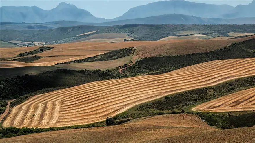 Arsası olup inşaat yapamayanlar dikkat! İmar transferinde yeni dönem başladı Arsası olup inşaat yapamayanlar dikkat! İmar transferinde yeni dönem başladı