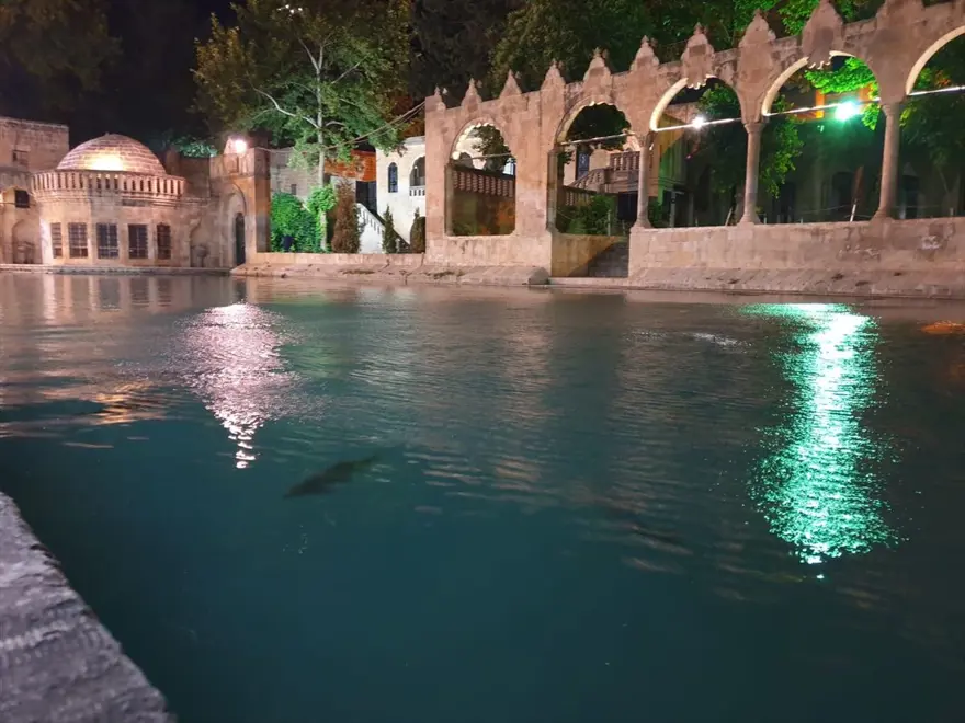 Şanlıurfa'da özel ışıklandırma yapılan tarihi alanlarda kartpostallık görüntüler 14