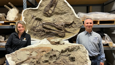 Dinozorun son akşam yemeği: 75 milyon yaşında