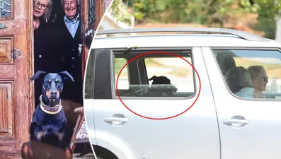 Korhan Berzeg’den 200 gündür haber yok | Berzeg’in köpeğiTina’nın davranışındaki dikkat çekici değişiklik