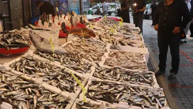 Rize'de balıkçı tezgahlarında bolluk yaşanıyor