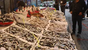 Rize'de balıkçı tezgahlarında bolluk yaşanıyor