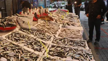 Rize'de balıkçı tezgahlarında bolluk yaşanıyor