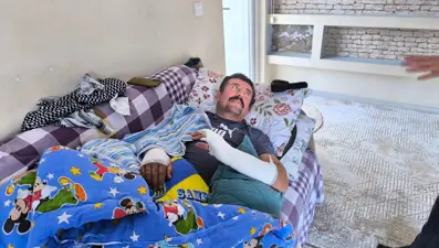 Domuzların saldırdığı çobanı köpekleri kurtardı