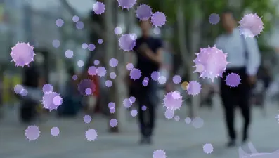 İsrail'de Batı Nil virüsü alarmı: 31 kişi hayatını kaybetti