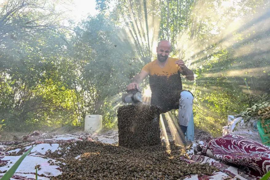 "Arı Adam"ın Guinness Rekorlar Kitabı hayaline ramak kaldı 3
