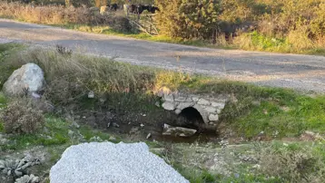 Boş arazide cesedi bulunan bebeğin annesi tutuklandı