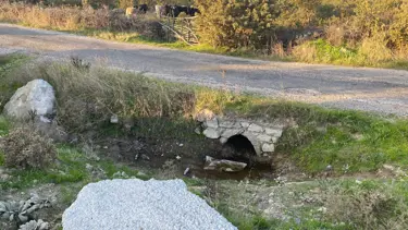 Boş arazide cesedi bulunan bebeğin annesi tutuklandı