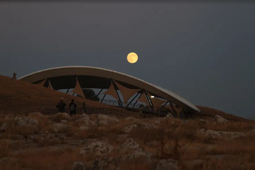 GÖBEKLİTEPE 7