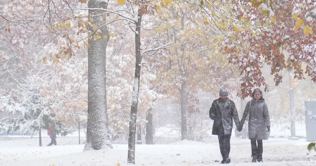 Meteoroloji'den üç il için sarı kodlu uyarı: Kar ve sağanak geliyor, sisli havaya dikkat!