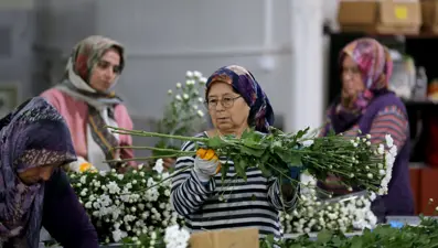 Çiçek sektörü rekora koşuyor: Türkiye'den 80 ülkeye ihracat 