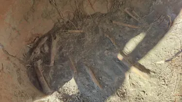 Kazı çalışmasında M.Ö. 1500'e ait insan kemikleri bulundu