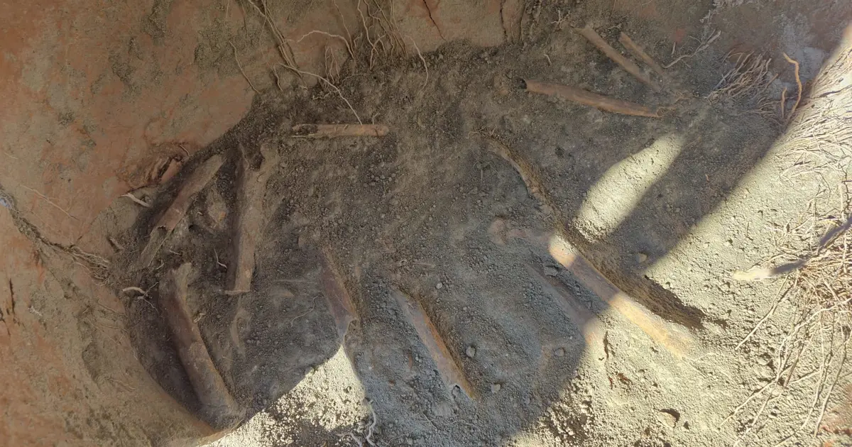 Kazı çalışmasında M.Ö. 1500'e ait yılına ait insan kemikleri bulundu