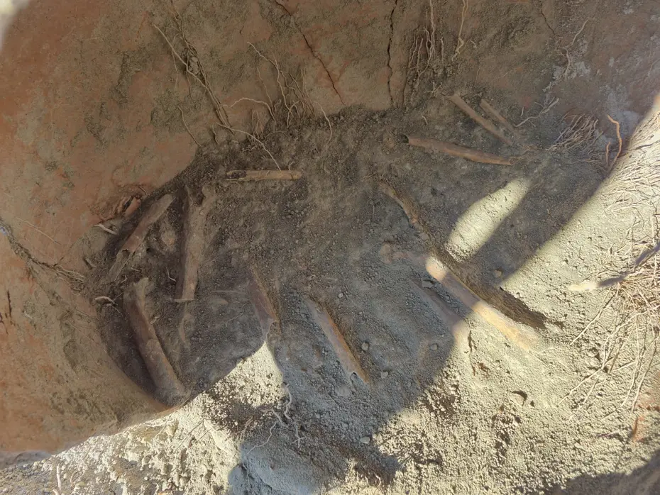 Kazı çalışmasında M.Ö. 1500'e ait yılına ait insan kemikleri bulundu