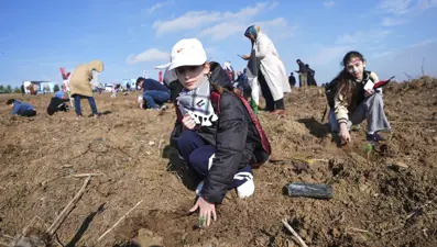 İstanbul'da Filistinli çocuklar için fidan dikildi
