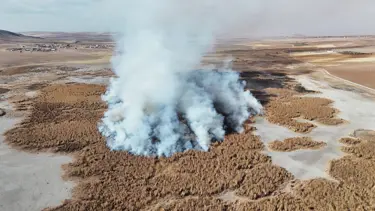 Konya'da tamamen kuruyan Gökgöl sazlıkları 2 gündür yanıyor
