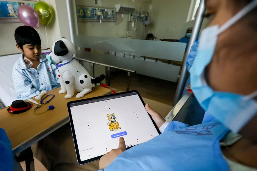 EMPATİ DUYGUSUNA DESTEK OLUYOR EMPATİ DUYGUSUNA DESTEK OLUYOR