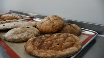 Tarihi ballı arpa ekmeği 3 bin yıl sonra yeniden pişirildi