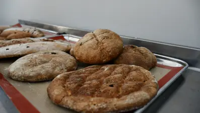 Tarihi ballı arpa ekmeği 3 bin yıl sonra yeniden pişirildi