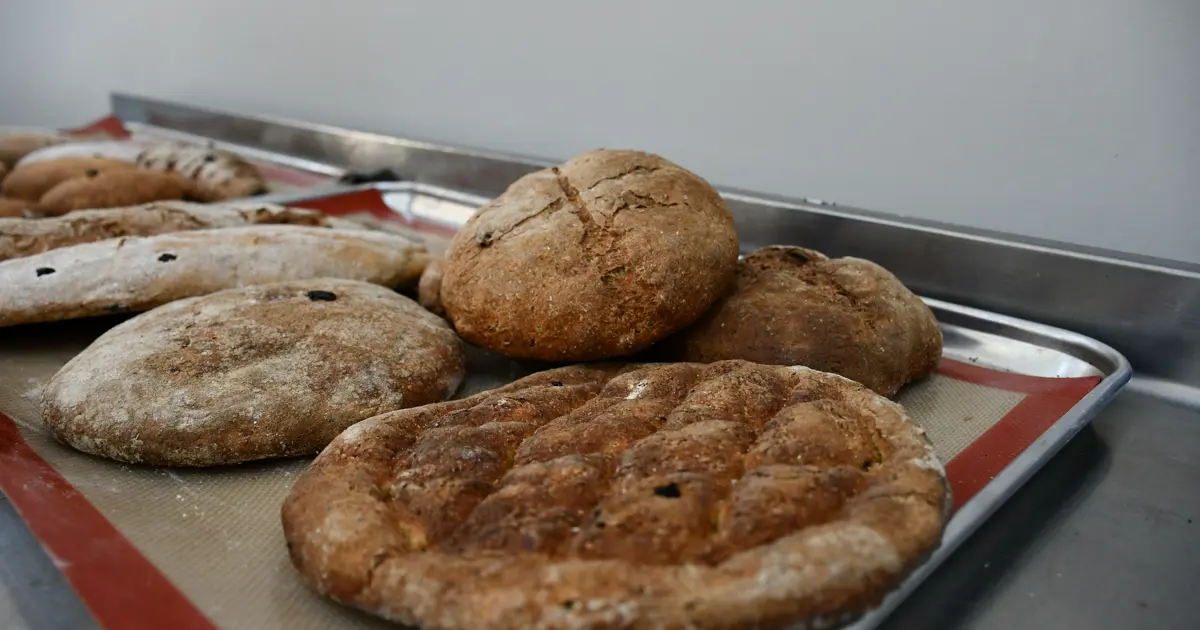 Tarihi ballı arpa ekmeği 3 bin yıl sonra yeniden pişirildi