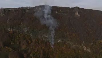 Ordu&#x27;da örtü yangını kontrol altında