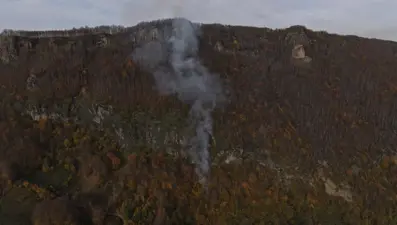 Ordu'daki örtü yangını kontrol altında
