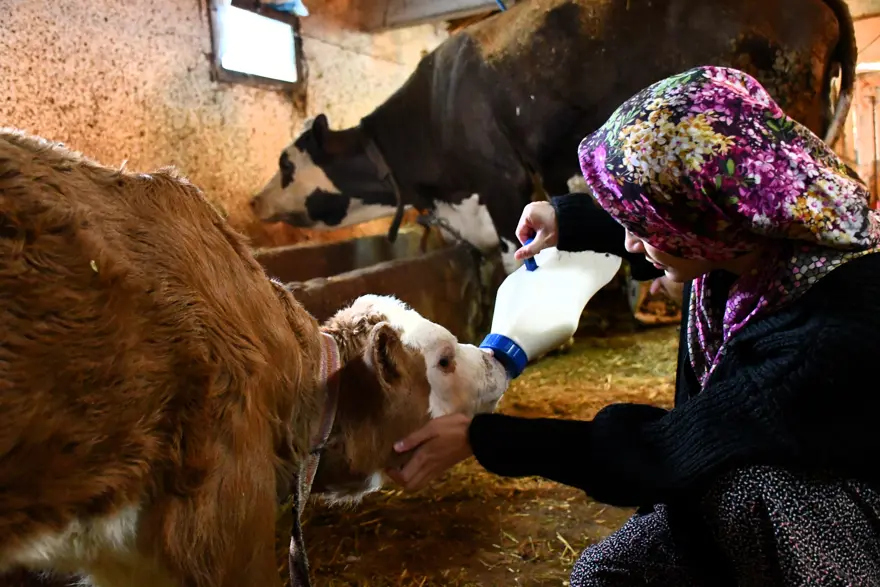 KÜÇÜKLÜĞÜNDEN BERİ BU İŞİ YAPIYOR 2