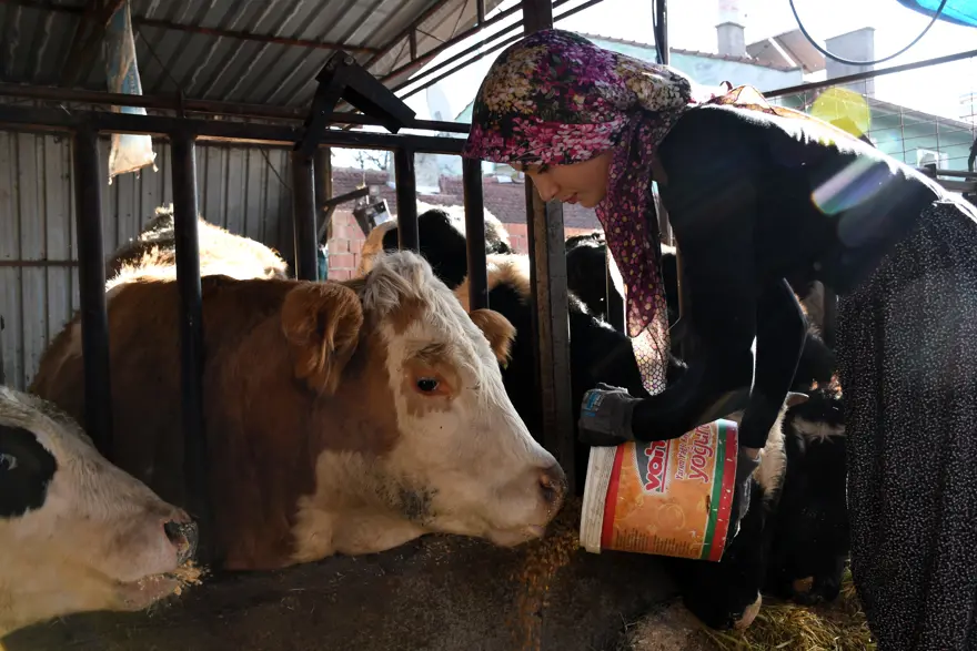 HEM ÖĞRENCİ HEM ÇİFTÇİ 