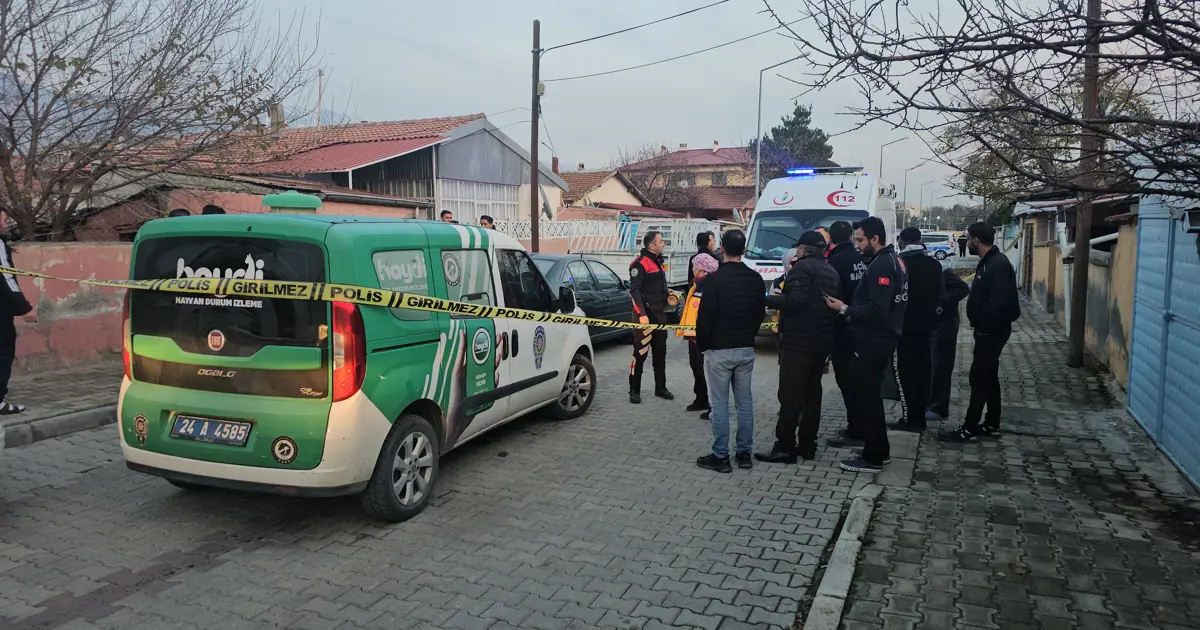 Erzincan'da baba ile oğlu evlerinde ölü bulundu