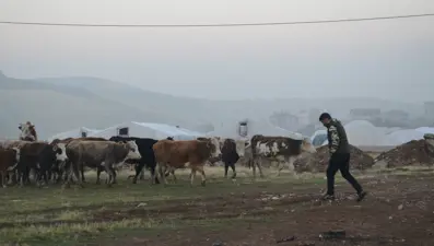 Hayvanları soğuktan koruma çabası