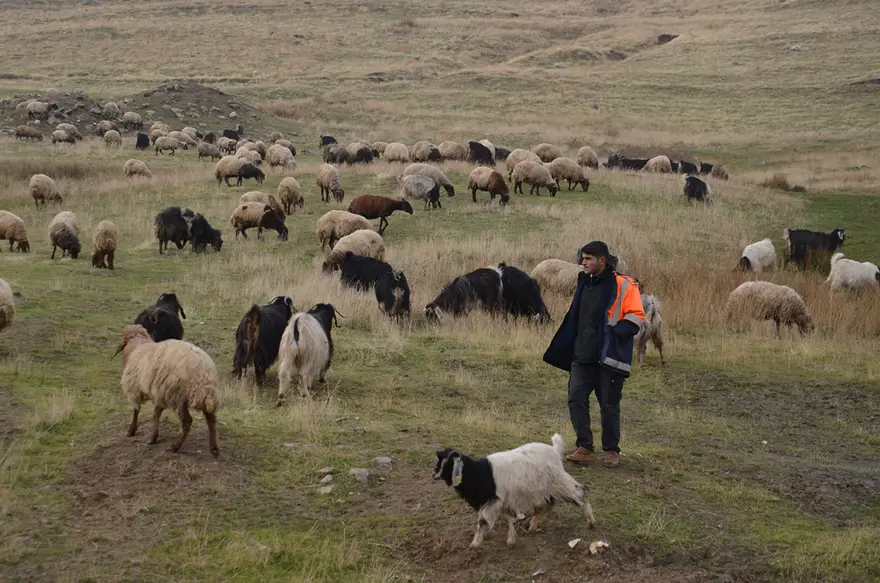 OTLAR KIŞIN KAR ALTINDA KALIYOR 2