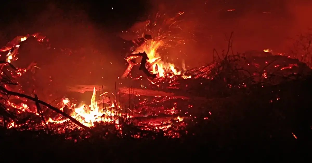 Bilecik'te çiftlik arazisinde yangın