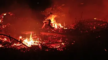 Bilecik'te çiftlik arazisinde yangın