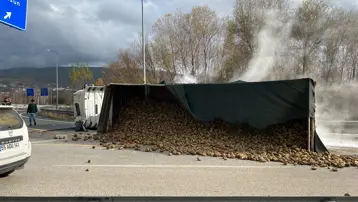 Pancar yüklü TIR devrildi