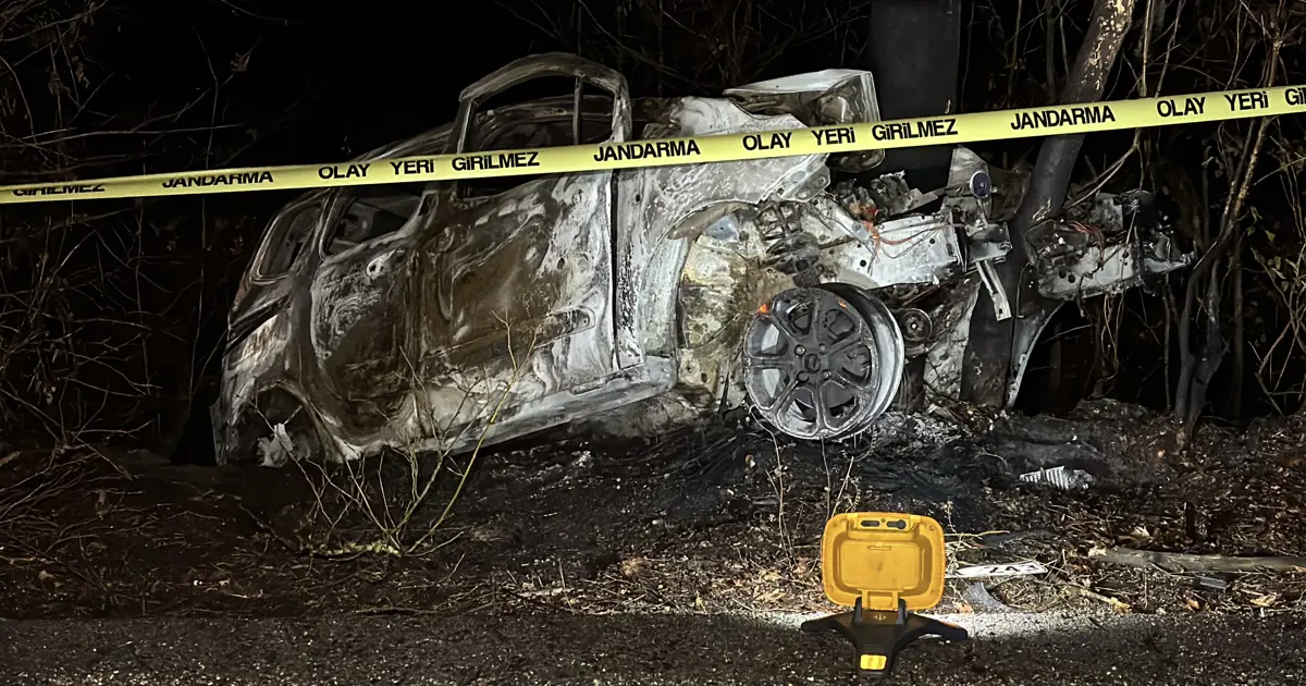 Ağaca çarpan aracın sürücüsü yanarak öldü