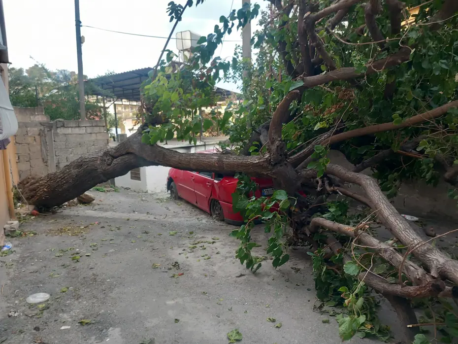 Hatay'da fırtına ağaçları devirdi, çatıları uçurdu