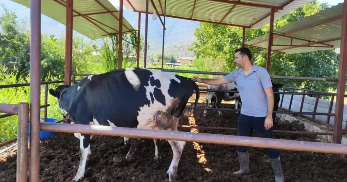 Milas'ta 11 mahalle karantinaya alındı