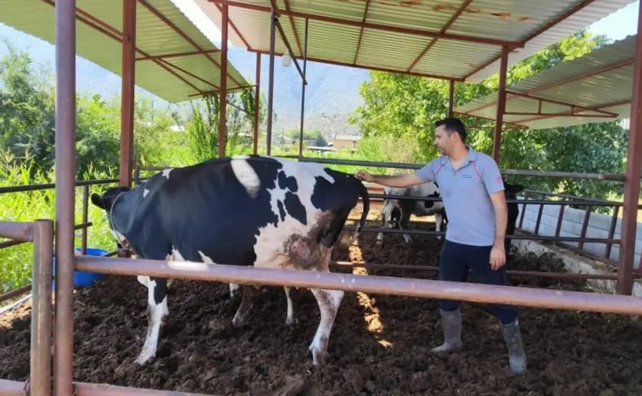 Milas'ta 11 mahalle karantinaya alındı