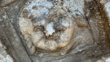 Bartın'da Medusa'nın gülümseyen yüzü bulundu. Gözlerine bakanı taşa çevirdiğine inanılıyor 