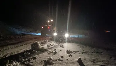 Muş’ta kar yağışı. Mahsur kalan 5 araçtaki 13 kişi kurtarıldı