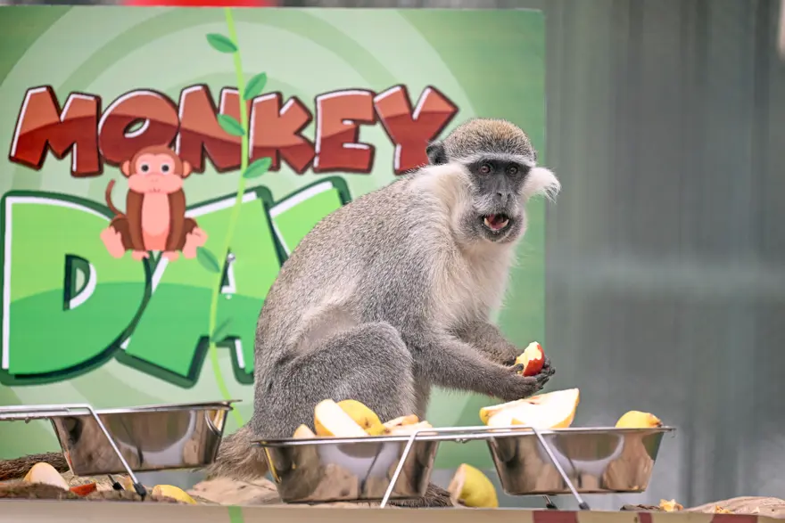 DOĞUM GÜNÜ HAVASINDA BİR GÜN YAŞATTIK  2