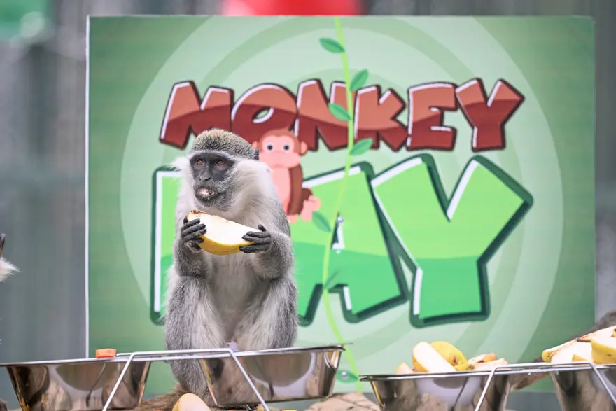 DOĞUM GÜNÜ HAVASINDA BİR GÜN YAŞATTIK 3