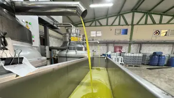 Muhtar devlet desteğiyle kurdu şimdi bir mahallenin geçim kaynağı oldu