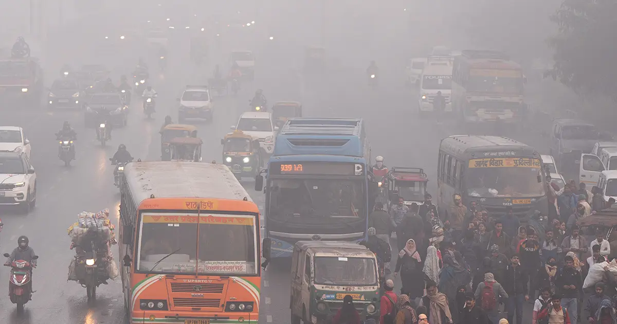 Covid'den 5 kat daha ölümcül. Nipah virüsü Türkiye'ye gelir mi? Dünya Sağlık Örgütü'nden açıklama var