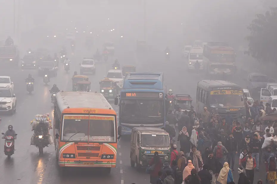 Covidden 5 kat ölümcül Nipah virüsü Türkiye'ye gelir mi? Dünya Sağlık Örgütü'nden açıklama var