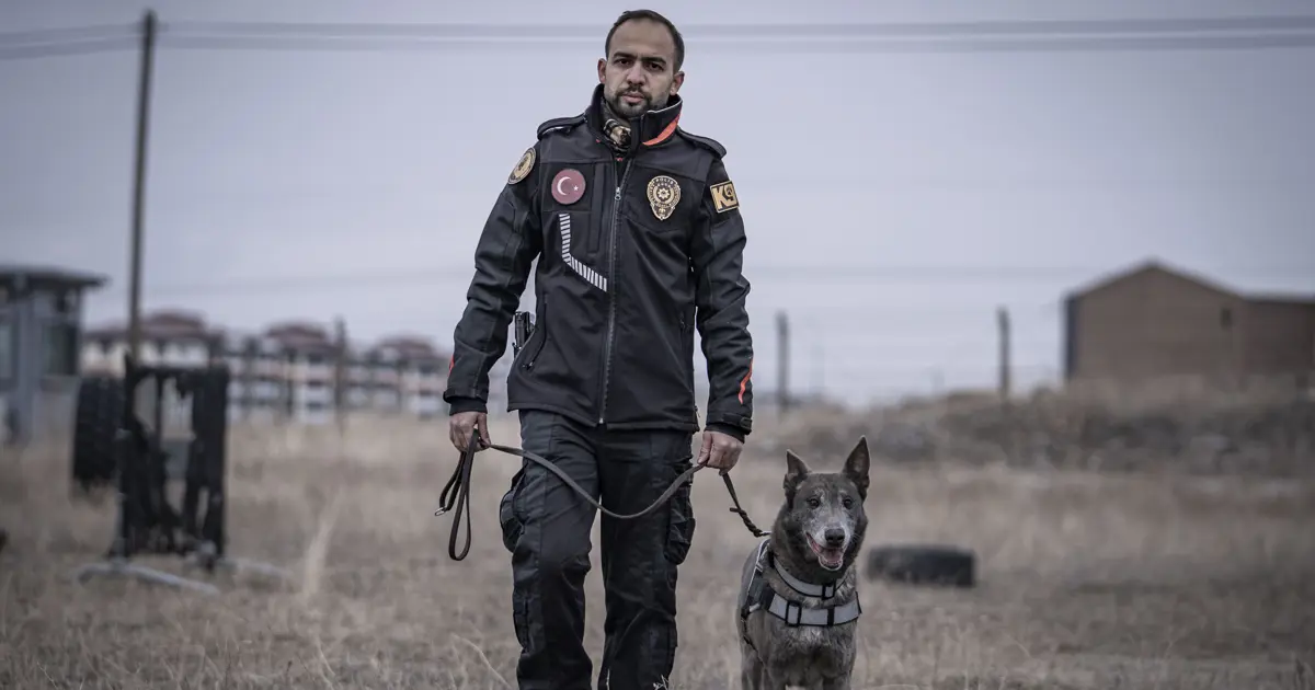 Günde en az 4 saat pratik yapıyor. Melo Türkiye'nin sayılı kadavra köpeklerinden biri