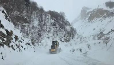 Artvin'de çığ düştü. Üç çobandan birinin cansız bedeni bulundu