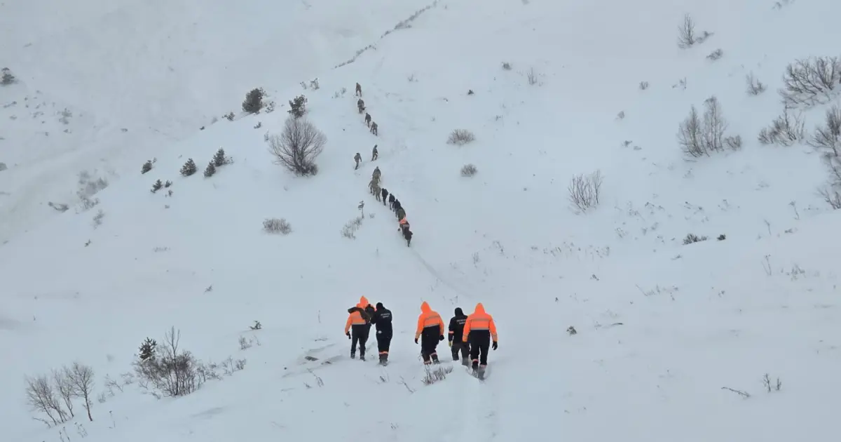 Artvin'de çığ felaketi. Bir çoban öldü, iki çobanı arama çalışmaları sürüyor